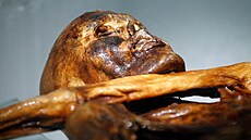 Konec Ötziho ivota byl tragický, skonil se ípem v zádech.