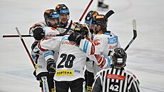 23. kolo hokejové extraligy: HC Kometa Brno - HC Sparta Praha. Hokejisté Sparty...