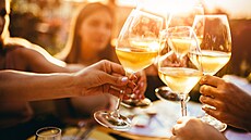 ilustra�ní snímek