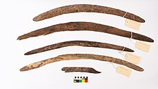 Čtyři bumerangy a jeden dřevěný fragment byly objeveny v korytě řeky Cooper...