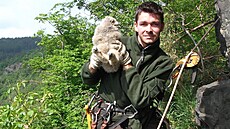 Lubor drí v ruce malého výra velkého.