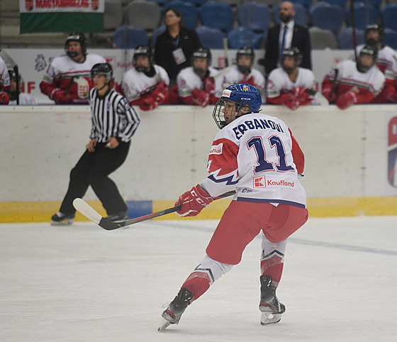 eská hokejistka Karolína Erbanová v olympijské kvalifikaci o postup do Pekingu...