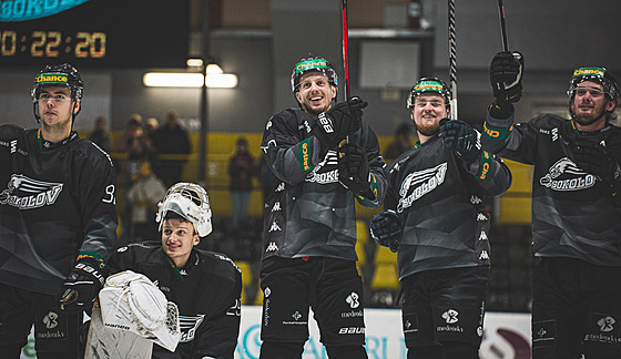 Radost sokolovských hokejistů (archivní foto)