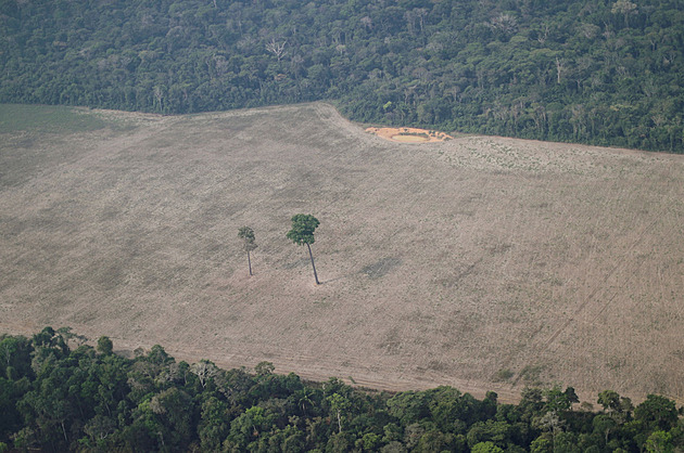 Z Amazonie zmizel les velký jako třetina Evropské unie, říká nová studie