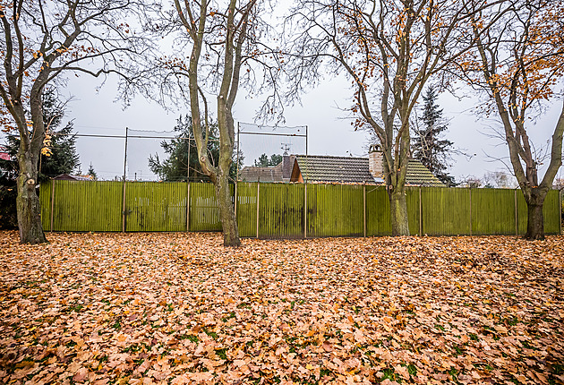 Spor o úklid listí z městských stromů na soukromé zahradě se vrací k soudu