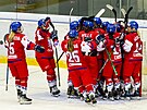Kvalifikace hokejistek o postup na OH v Pekingu: Polsko - esko. Hráky eska...