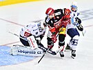 Utkání 24. kola hokejové extraligy: Mountfield Hradec Králové - HC koda Plze....