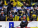 Utkání 24. kola hokejové extraligy: HC Verva Litvínov - BK Mladá Boleslav. Uvis...