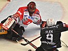 24. kolo hokejové extraligy: HC Energie Karlovy Vary - HC Dynamo Pardubice....