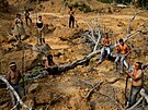 Domorodí lidé z kmene Mura ukazují odlesnnou oblast amazonského detného...