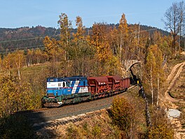 Lokomotiva řady 743 s nákladním vlakem ze Smržovky do Liberce projíždí podzimní...
