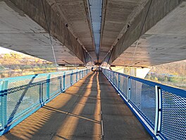 Fotografie pořízená smartphonem Honor 50