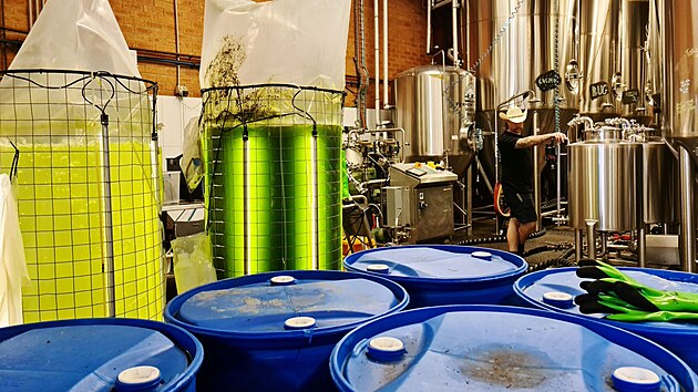Australští výrobci piva bojují proti klimatickým změnám.