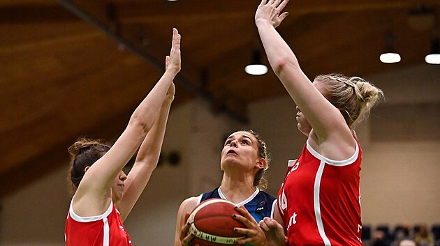 Tsn obrana eskch basketbalistek v zpase proti Irsku.