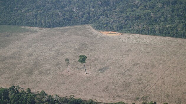 Odlesňování amazonského deštného pralesa v Brazílii (19. listopadu 2021)