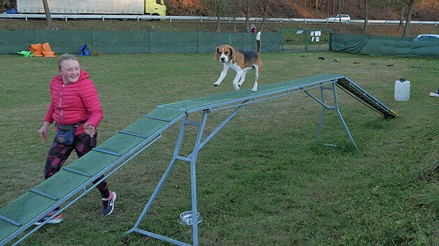 Kateina Valkov se svm ronm bglem bere agility jako zbavu pro sebe i svho psa.