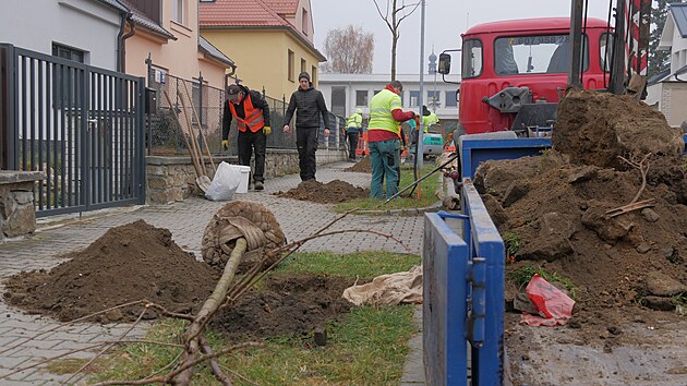 Nov vsadby se ve e dokala cel ada novch ulic. Do zem pracovnci dodavatelsk firmy sz jilmy, javory, lpy, sakury, jrovce, duby i dal druhy strom. Na snmku jsou prce v Drdlov ulici.