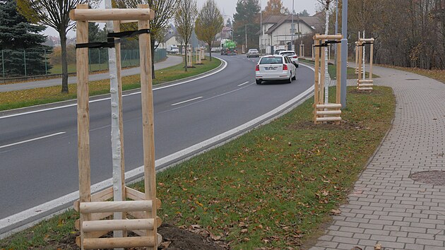 Nov vsadby se ve e dokala cel ada novch ulic. Do zem pracovnci dodavatelsk firmy sz jilmy, javory, lpy, sakury, jrovce, duby i dal druhy strom. Nov stromoad u napklad lemuje prtah mstem po silnici 37.