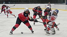 Česko - Norsko, olympijská kvalifikace o postup do Pekingu v hokeji žen....