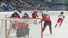 Česko - Norsko, olympijská kvalifikace o postup do Pekingu v hokeji žen.