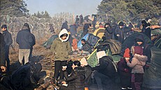 Migranti táboí na blorusko-polské hranici. (9. listopadu 2021)