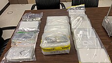 Protidrogová policie ukazuje zadrené balíky syntetického opioidu fentanylu,...
