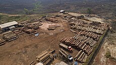 Odlesování amazonského detného pralesa v Brazílii (19. listopadu 2021)