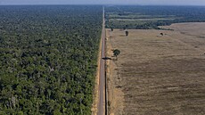Odlesňování amazonského deštného pralesa v Brazílii (19. listopadu 2021) | na serveru Lidovky.cz | aktuální zprávy