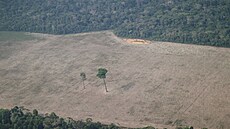 Odlesňování amazonského deštného pralesa v Brazílii (19. listopadu 2021)