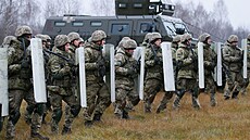 Ukrajinská pohraniní strá se úastní cviení v blízkosti polsko-bloruských...