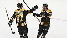 David Pastrák a Patrice Bergeron oslavují gólový úspch Bostonu.