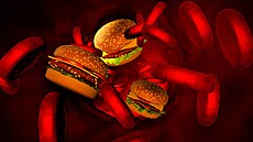 Ilustraní fotografie