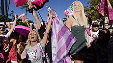 Fanoušci z hnutí FreeBritney (Osvoboďte Britney) oslavují zrušení zpěvaččina...