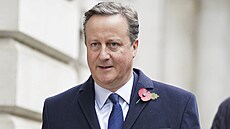 Bývalý premiér Velké Británie David Cameron (14. listopadu 2021)