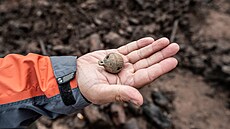 Objevená rolnika z 15. století