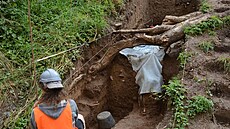 Archeologové na�li v Plasích v areálu klá�tera západní ze� kaple sv. Bartolom�je. 