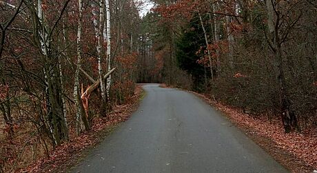 Denní pohled na místo od Lhoty u Stíbra, kde v noci zemel cyklista. (20....