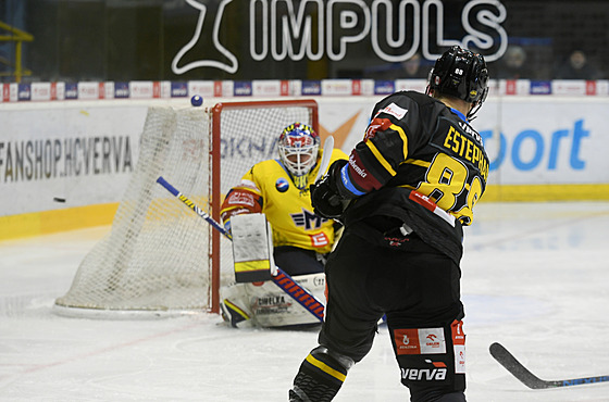 Hokejová extraliga, 26. kolo, Litvínov - eské Budjovice. Giorgio Estephan z...