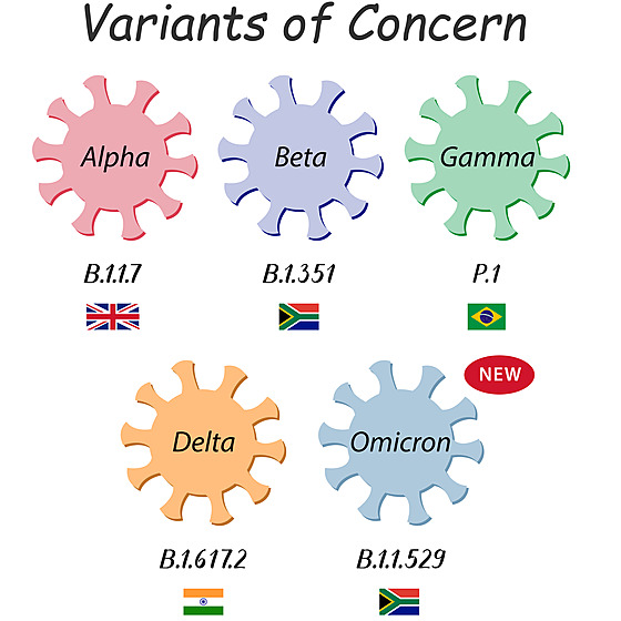 Varianty koronaviru. Poslední, nazvanou omikron objevili v Jihoafrické...