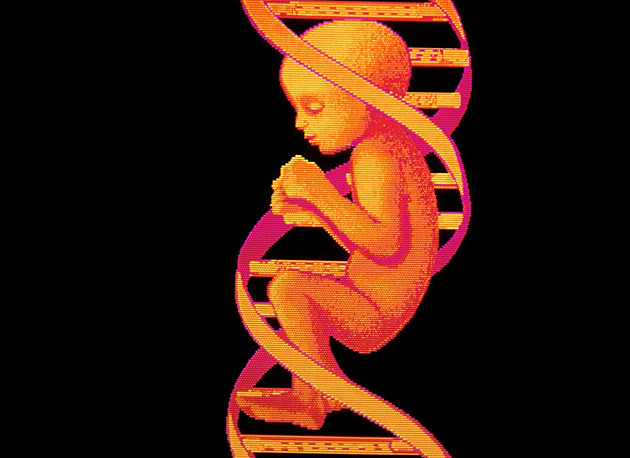 Posledních osm procent lidského genomu bylo konečně rozluštěno
