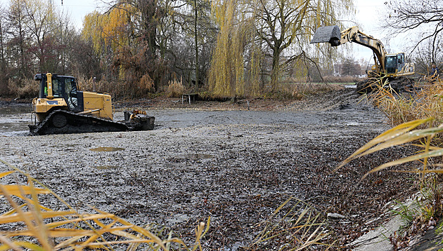 Buldozer a bagr istí cítolibský rybník od bahna.