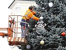 Vánoní strom získalo msto z Nedvdice, jeho rozsvícení vak v sobotu bude...