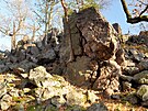 V lesích Kivoklátska se najde ada skal vypreparovaných erozí. Na snímku...