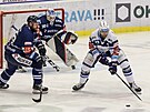 Hokejová extraliga, 26. kolo, Vítkovice - Brno: Obránce Vítkovic Roman Polák...