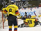 Hokejová extraliga, 26. kolo, Litvínov - eské Budjovice. Patrik Zdráhal z...