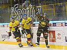 Hokejová extraliga, 26. kolo, Litvínov - eské Budjovice. Patrik Demel z...