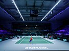 Jií Veselý servíruje v utkání tenisového Davis Cupu s Francouzem Adrianem...