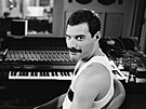 Zpvák skupiny Queen Freddie Mercury (1946  1991)