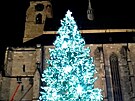 Plzeň rozsvítila vánoční strom on-line, rozzářila se také synagoga