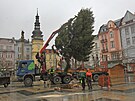 Od pond�l� je na ostravsk�m Masarykov� �iv� v�no�n� strom. Smrk p�ivezli z...